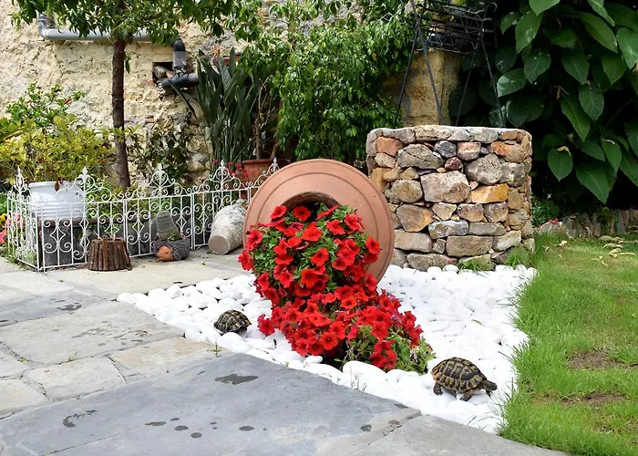 Aparthotel Asteria 3*